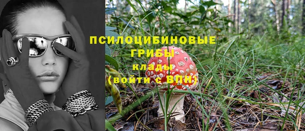 не бодяженный Алзамай